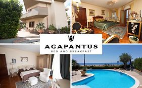Agapantus Bed & Breakfast